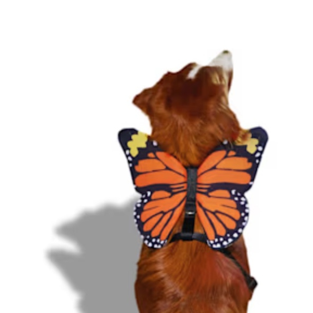 ๐ 3/for $20 in a BUNDLE Bootique Butterfly Harness Costume - Picture 10 of 13